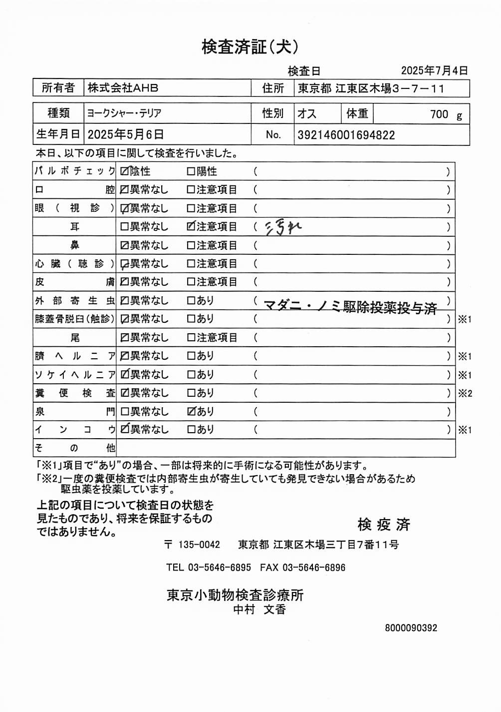 ヨークシャー・テリア