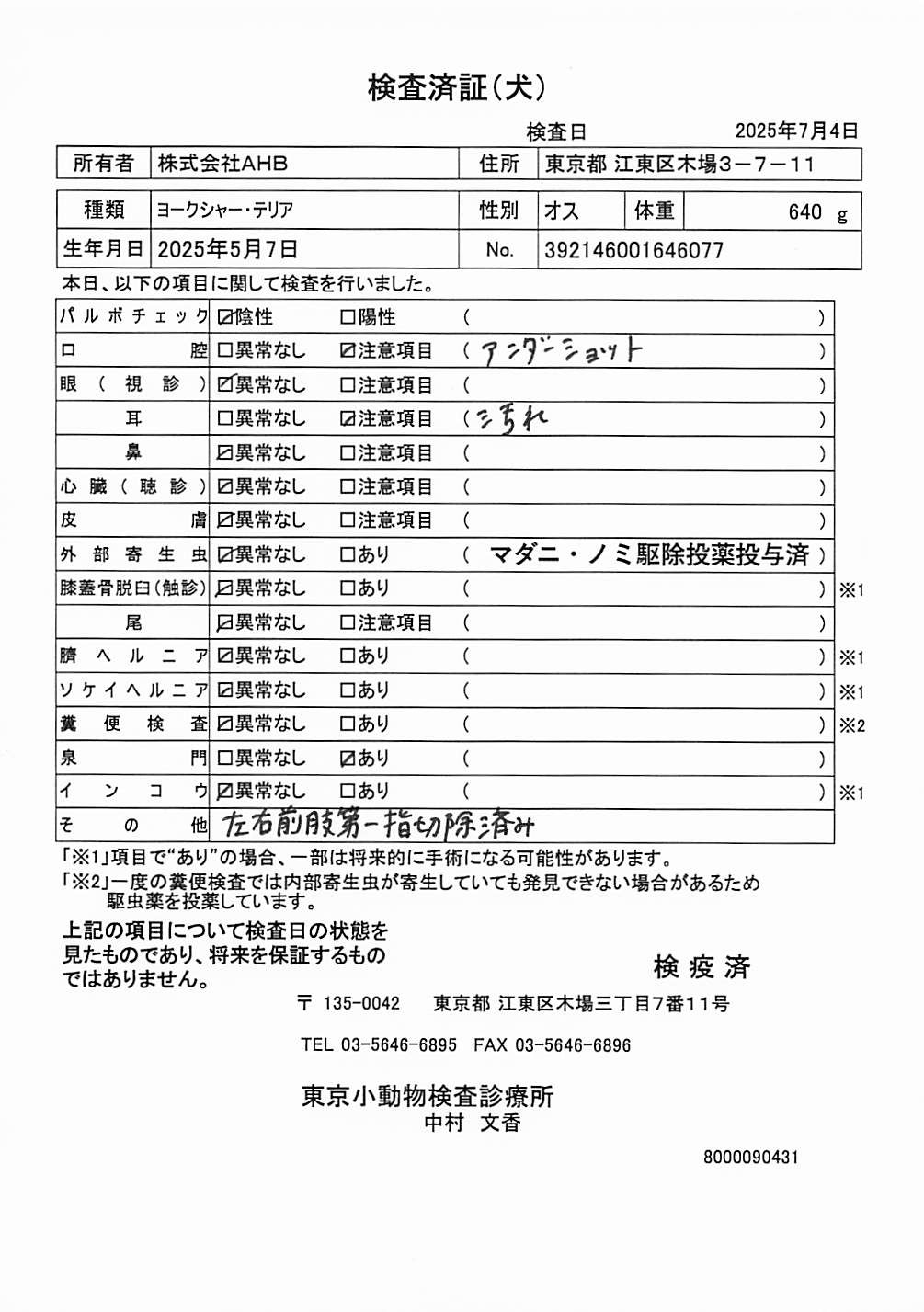 ヨークシャー・テリア