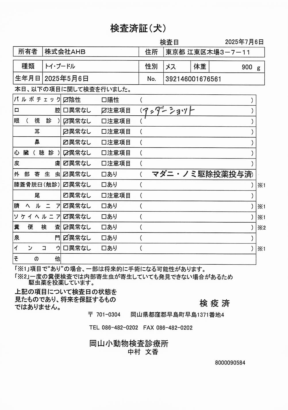 トイ・プードル