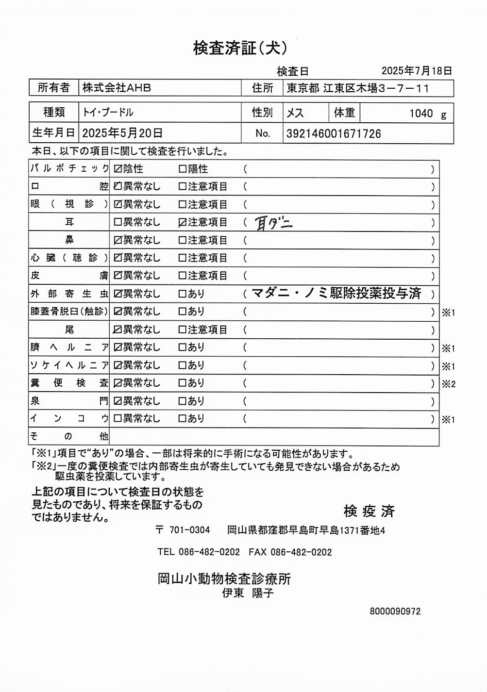 トイ・プードル
