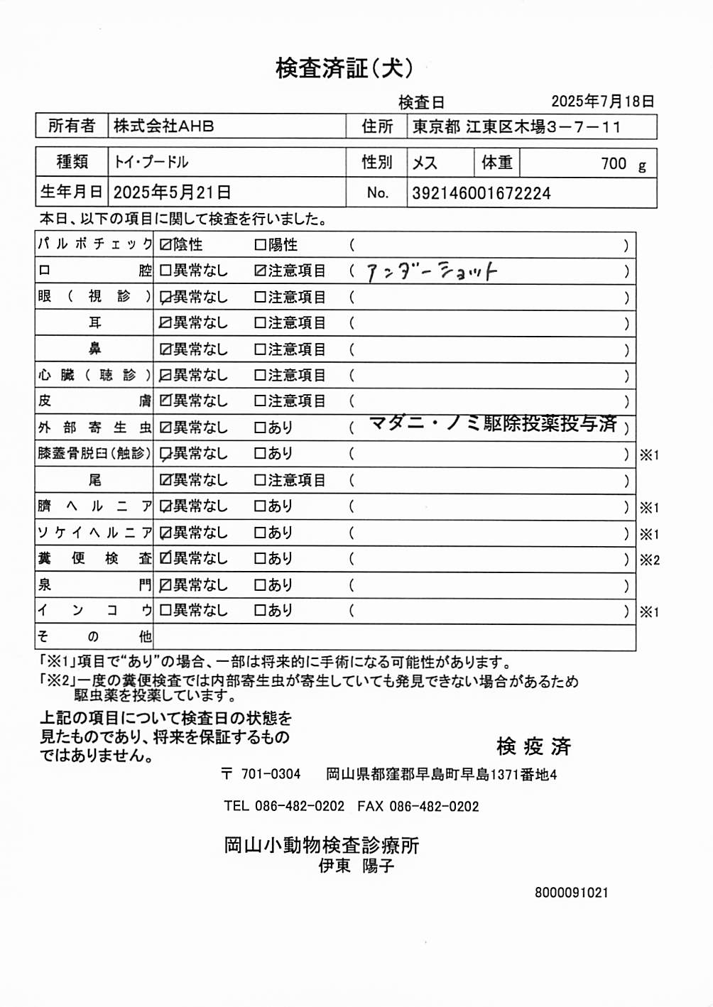 トイ・プードル