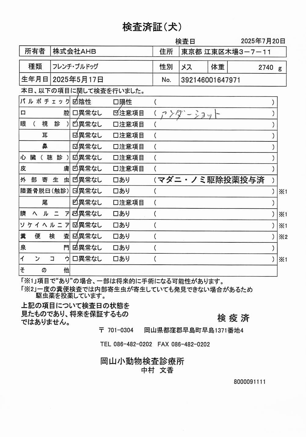 フレンチ・ブルドッグ