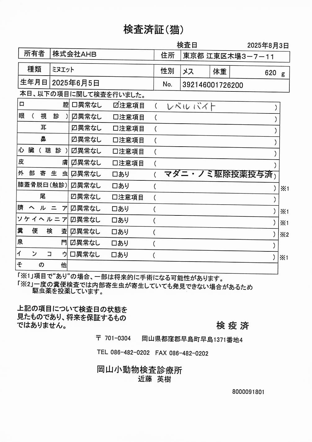 ミヌエット