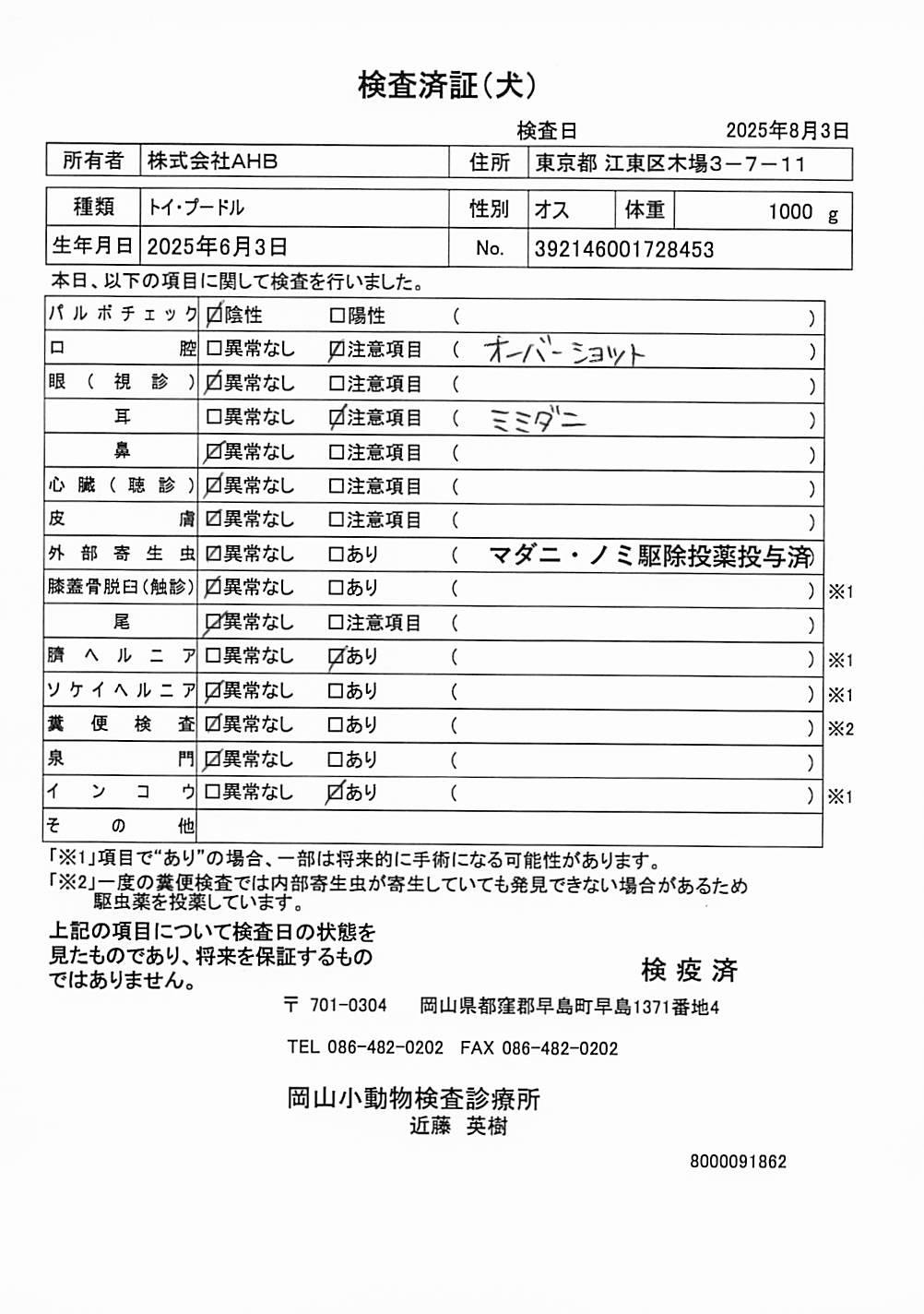 トイ・プードル