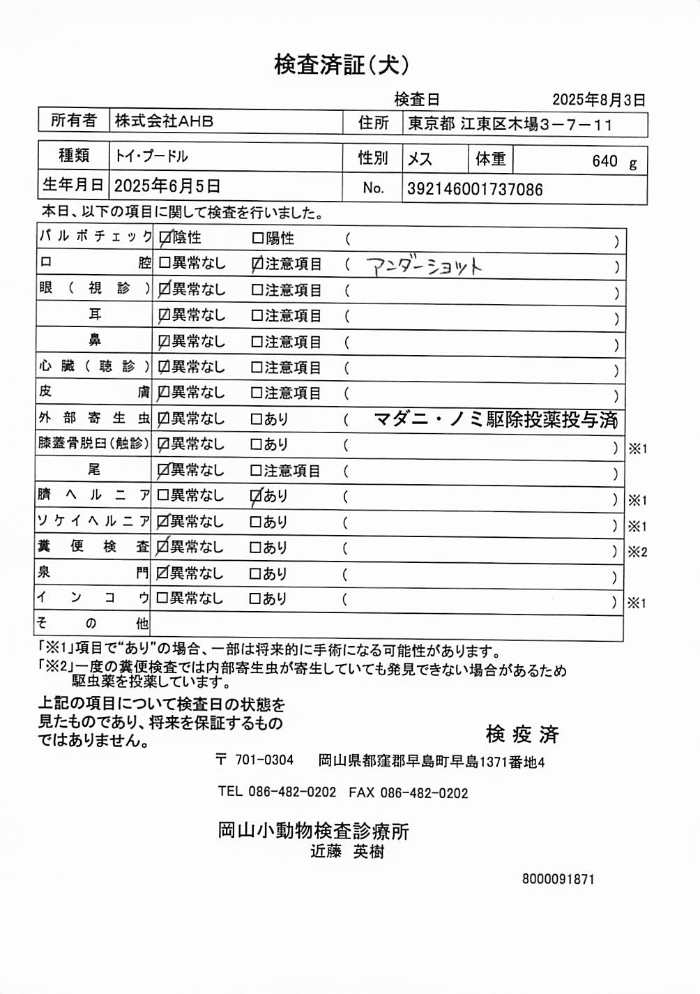 トイ・プードル