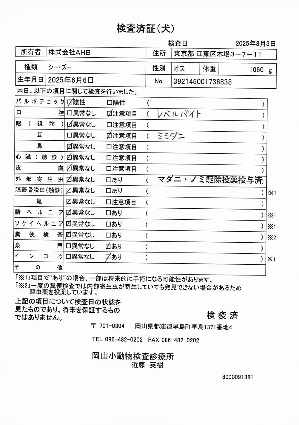 シー・ズー