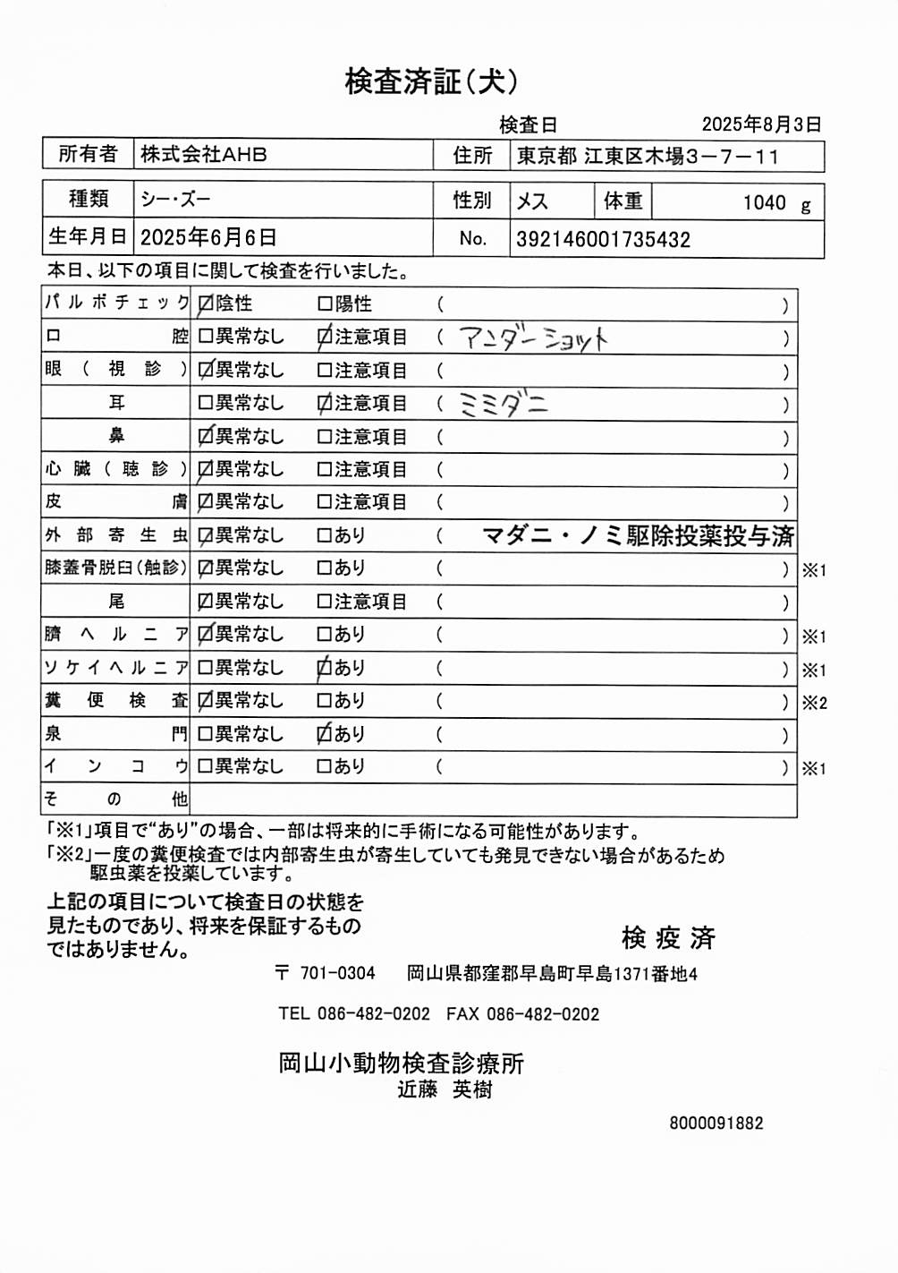 シー・ズー