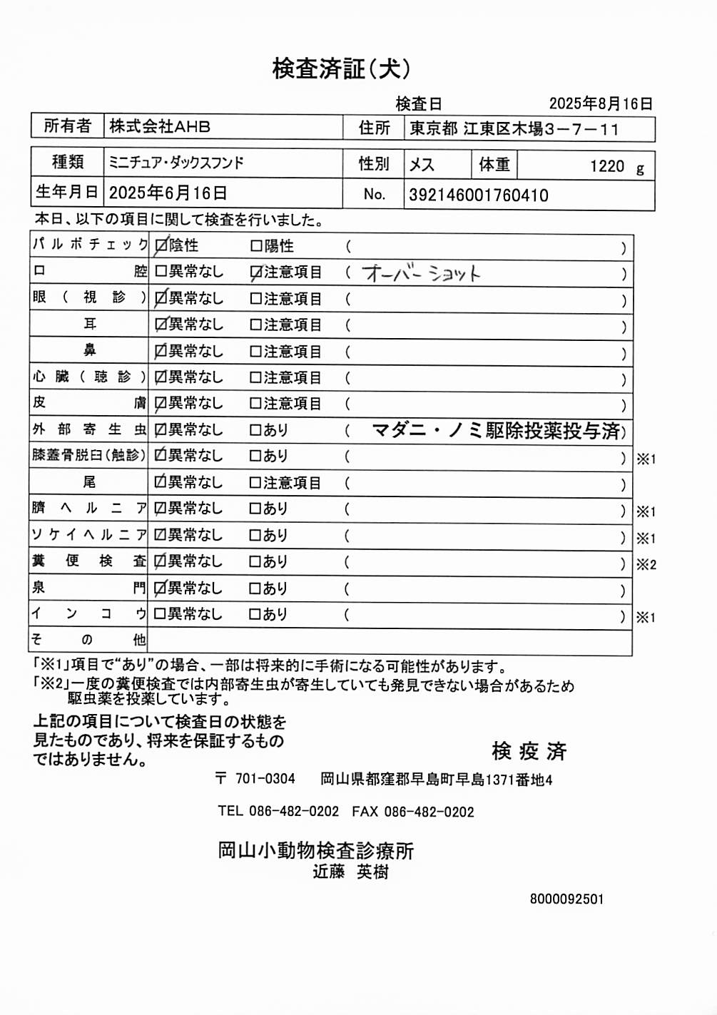 ミニチュア・ダックスフンド