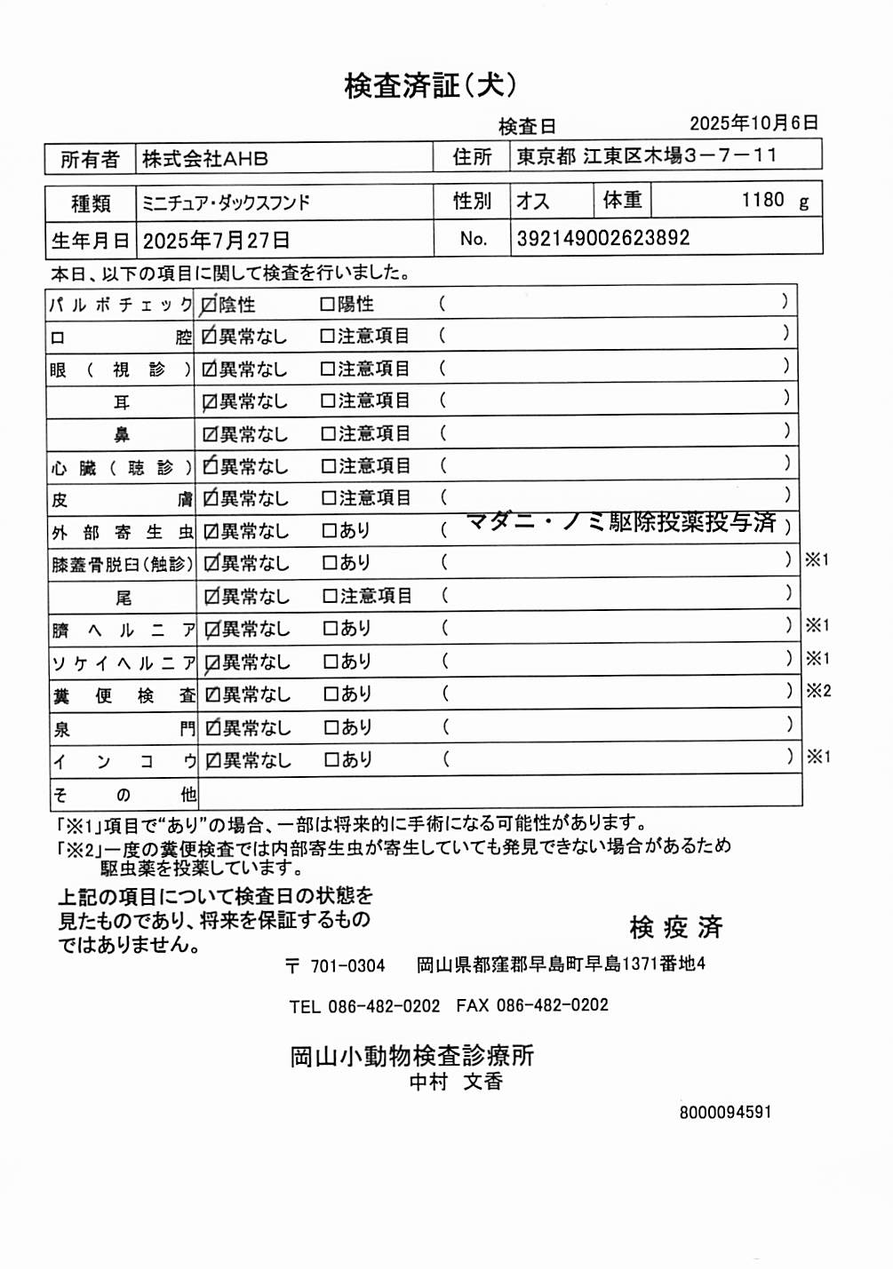 ミニチュア・ダックスフンド