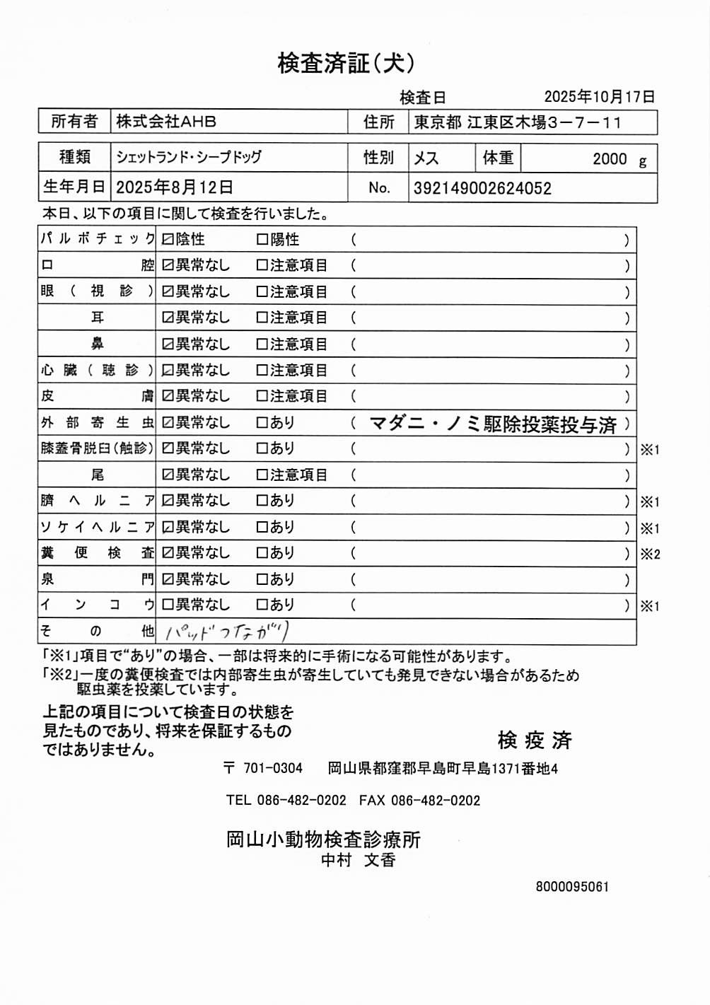 シェットランド・シープドッグ