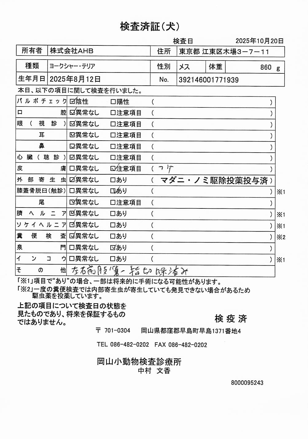 ヨークシャー・テリア