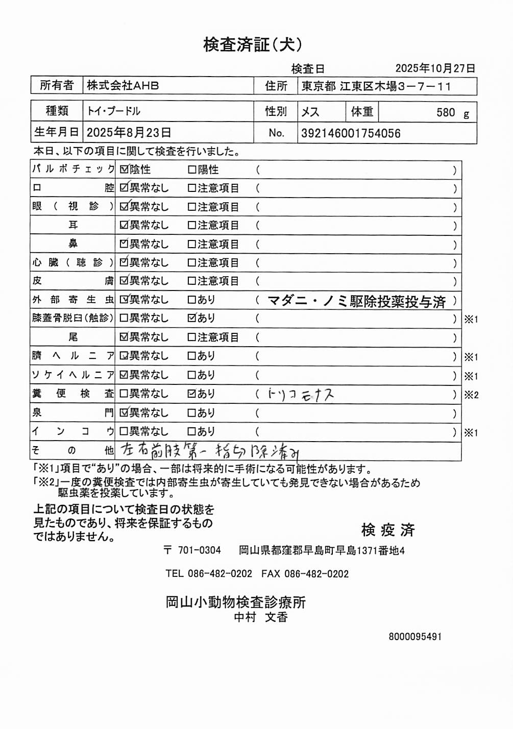 トイ・プードル