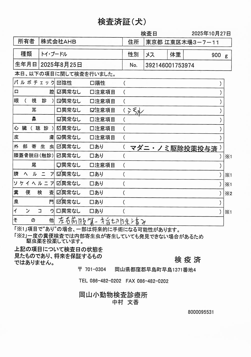 トイ・プードル