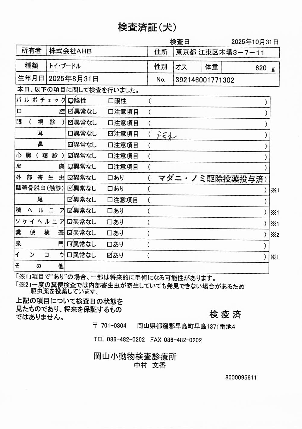 トイ・プードル