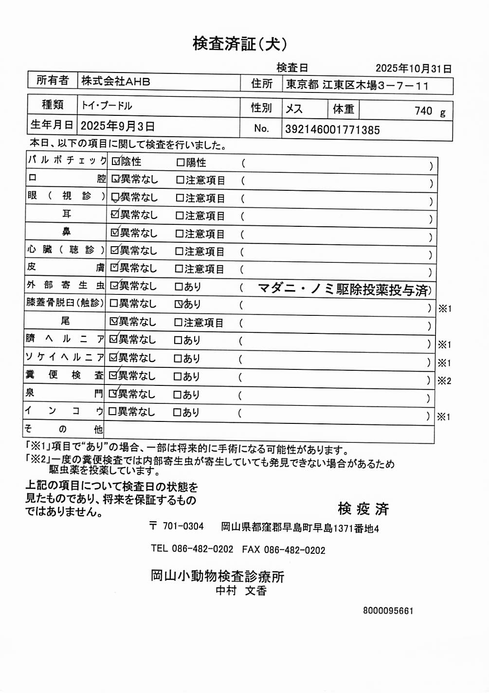 トイ・プードル