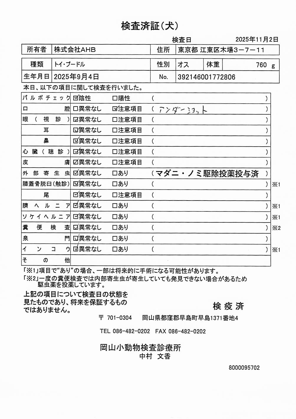 トイ・プードル