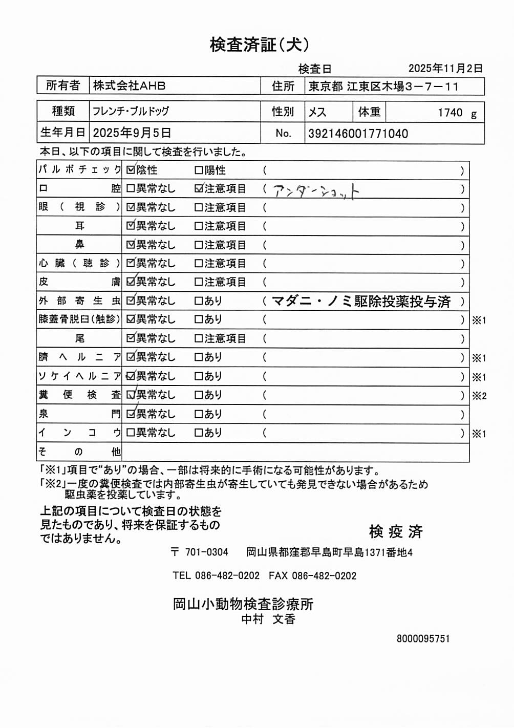 フレンチ・ブルドッグ