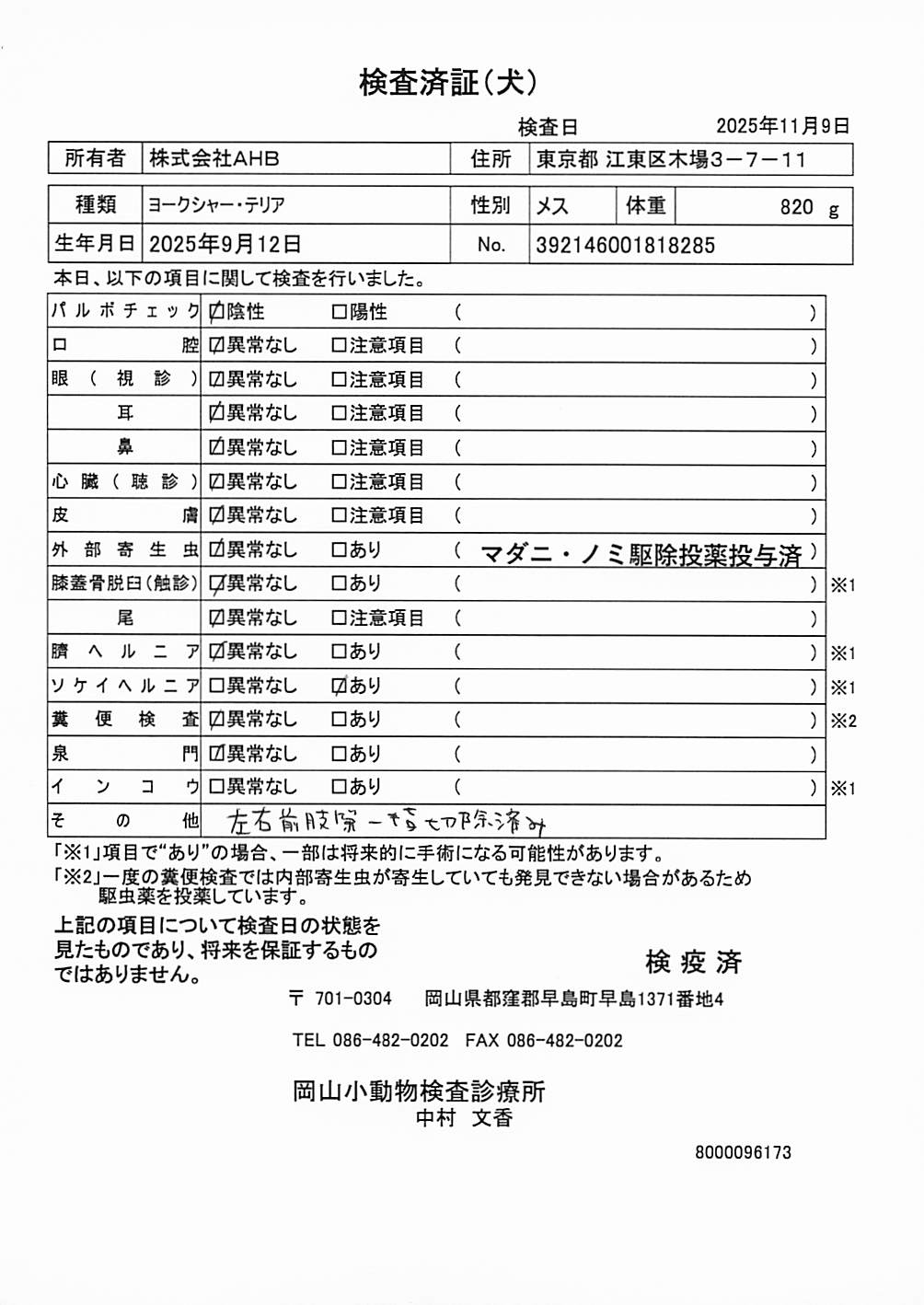 ヨークシャー・テリア