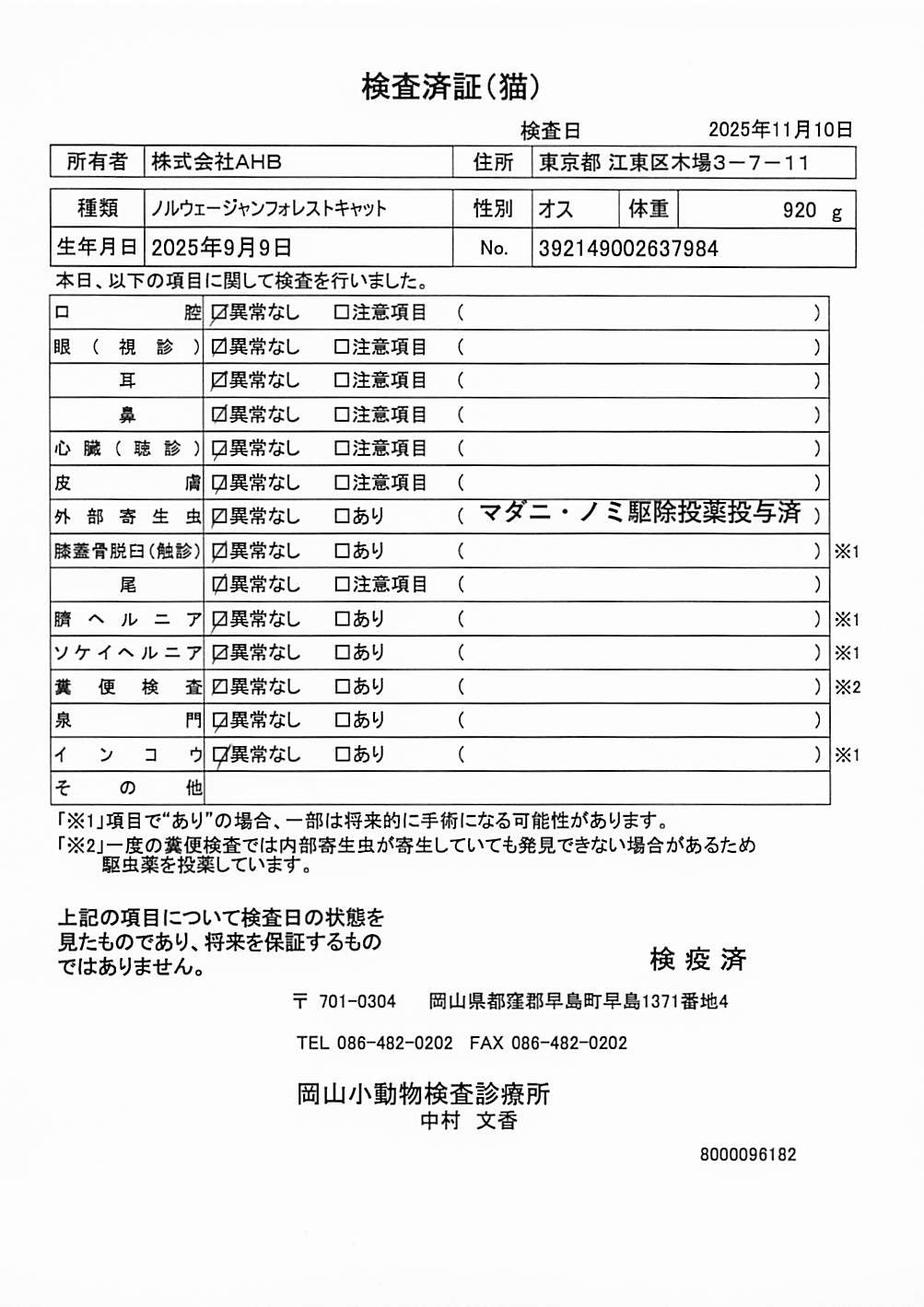 ノルウェージャンフォレストキャット