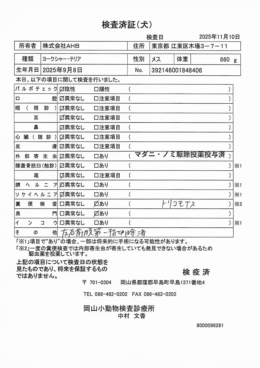 ヨークシャー・テリア