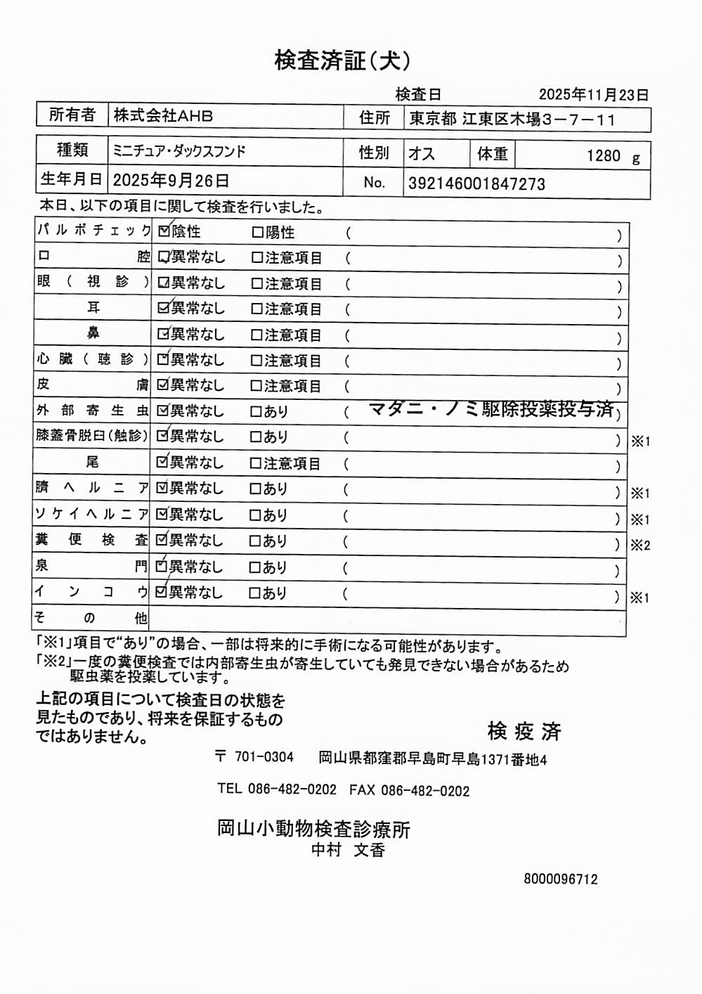 ミニチュア・ダックスフンド