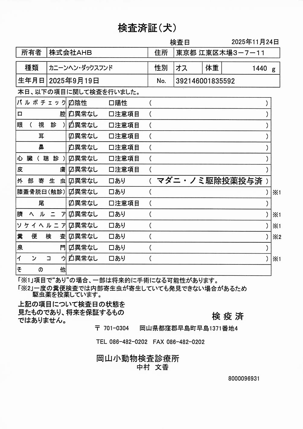 カニーンヘン・ダックスフンド