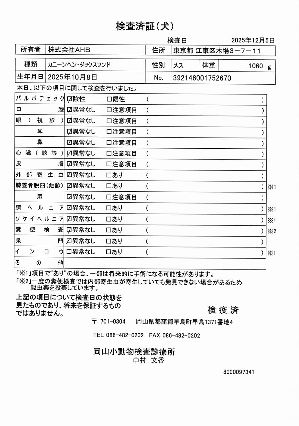 カニーンヘン・ダックスフンド