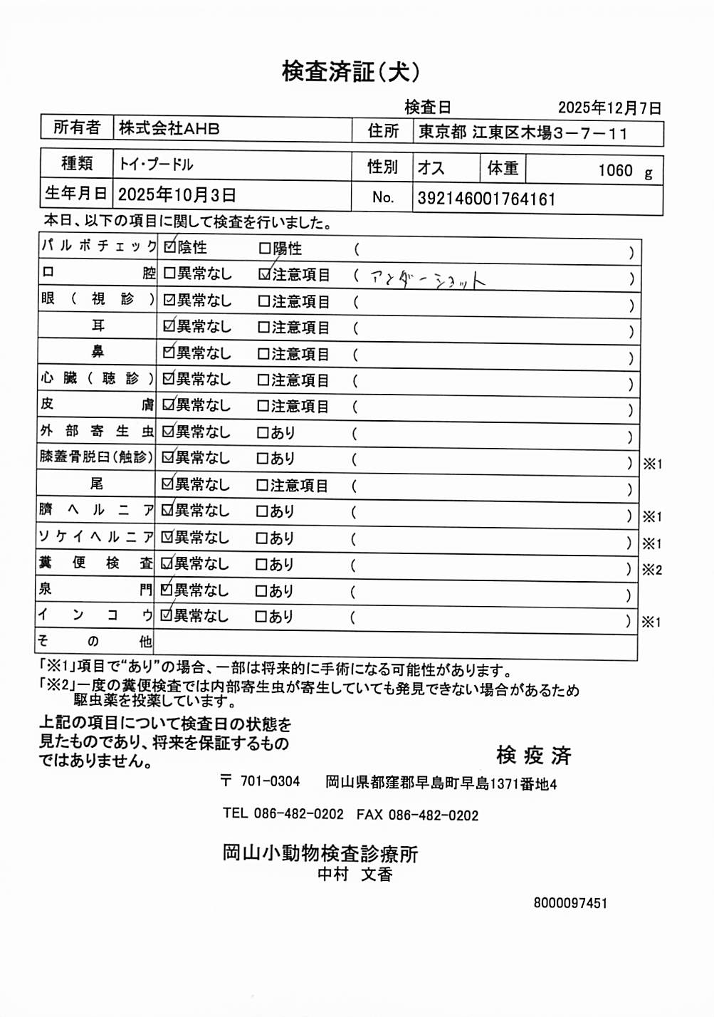 トイ・プードル