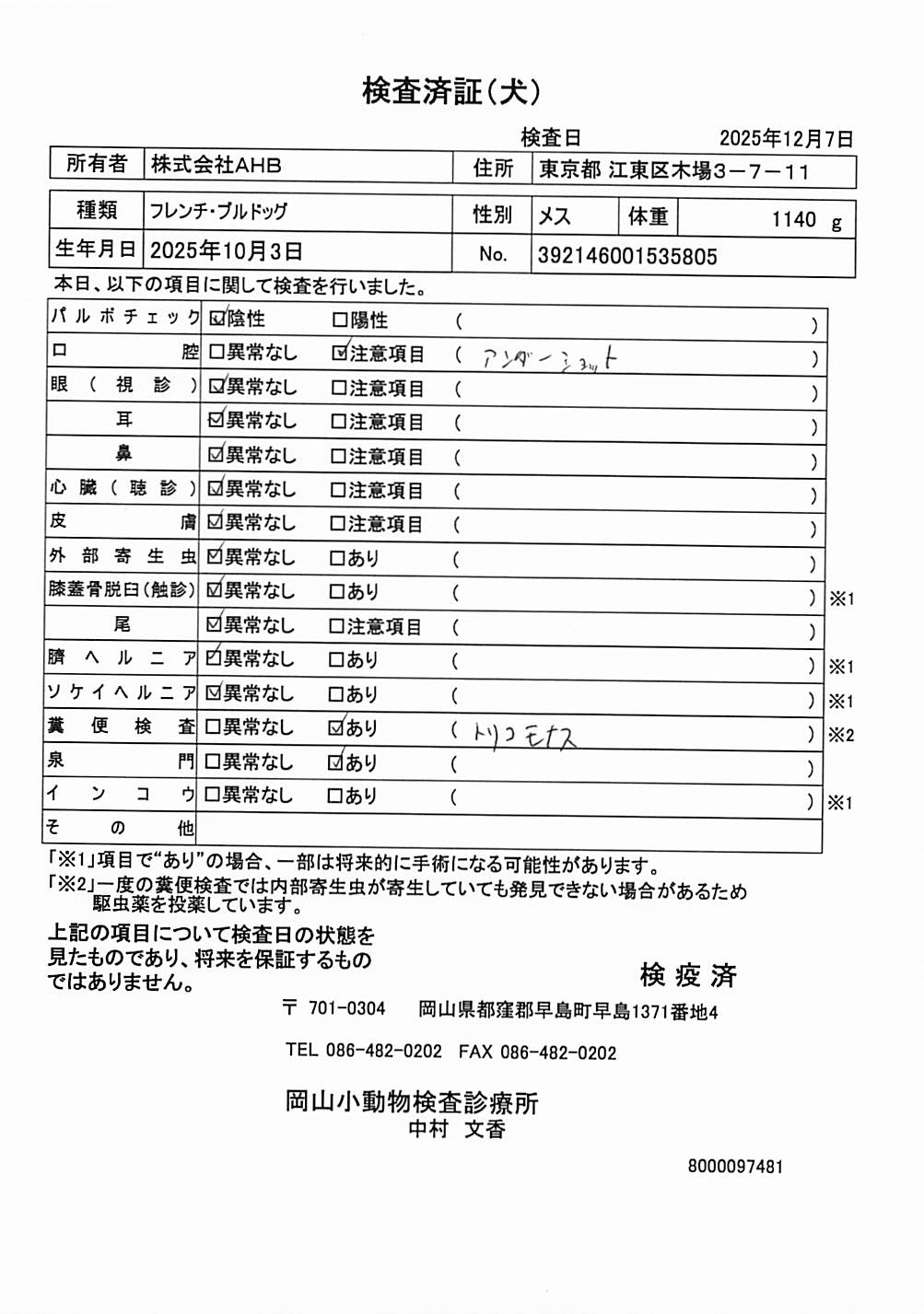 フレンチ・ブルドッグ