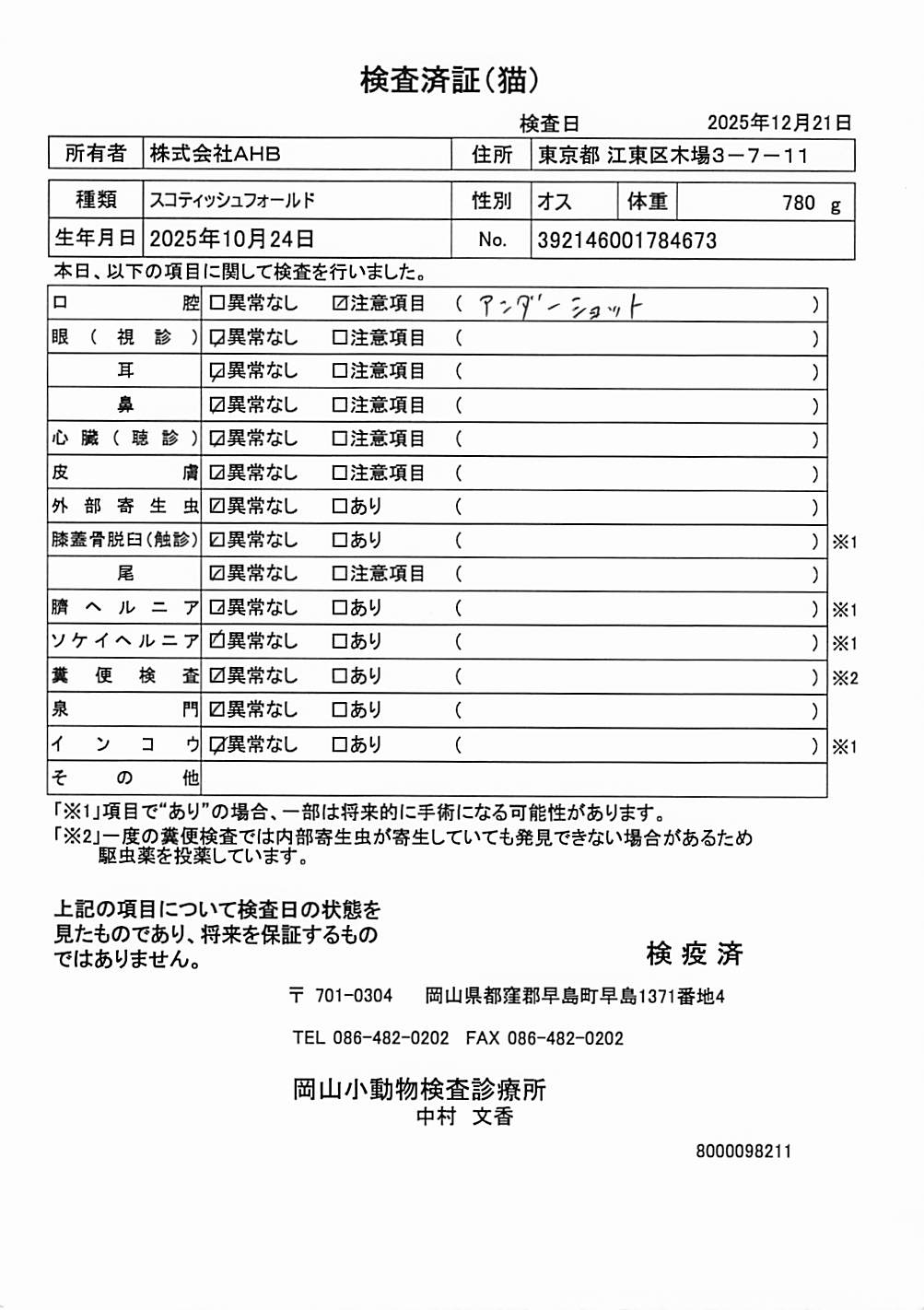 スコティッシュフォールド