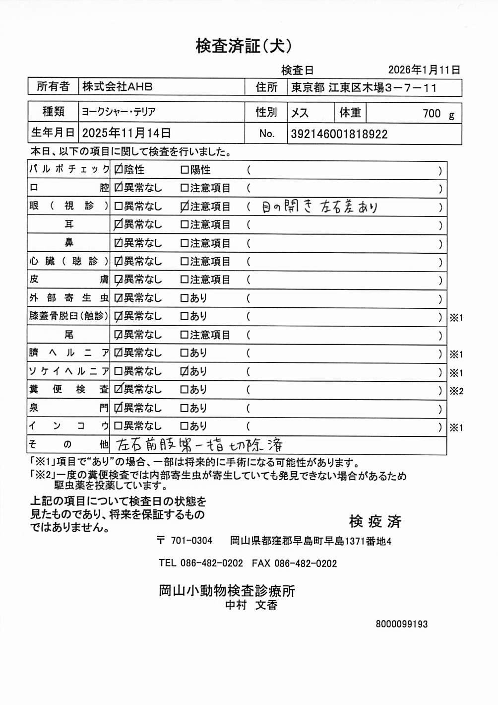ヨークシャー・テリア