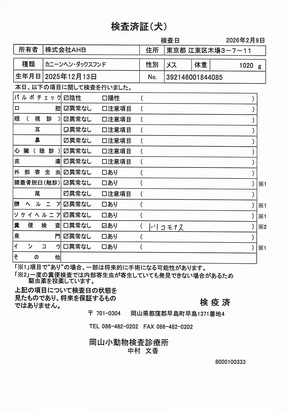 カニーンヘン・ダックスフンド