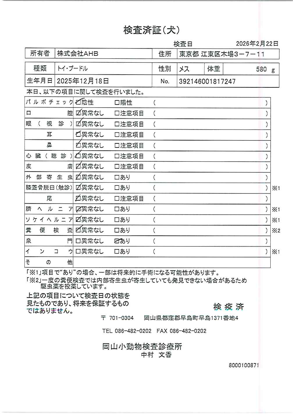 トイ・プードル