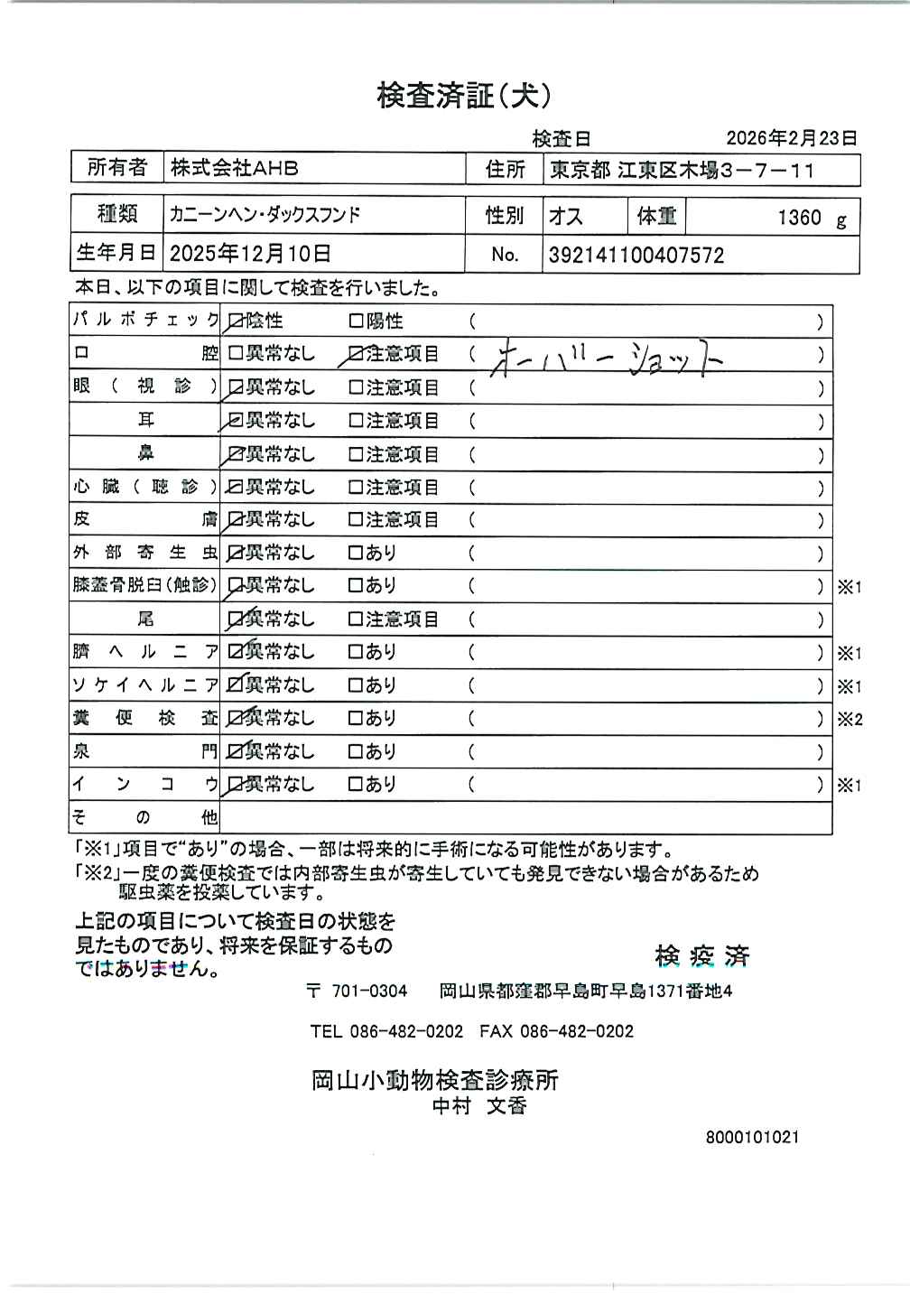 カニーンヘン・ダックスフンド