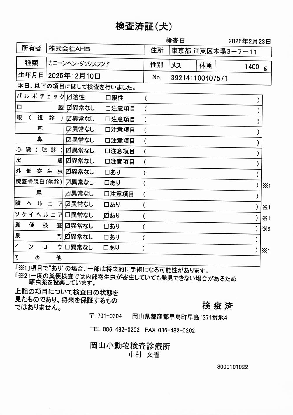 カニーンヘン・ダックスフンド