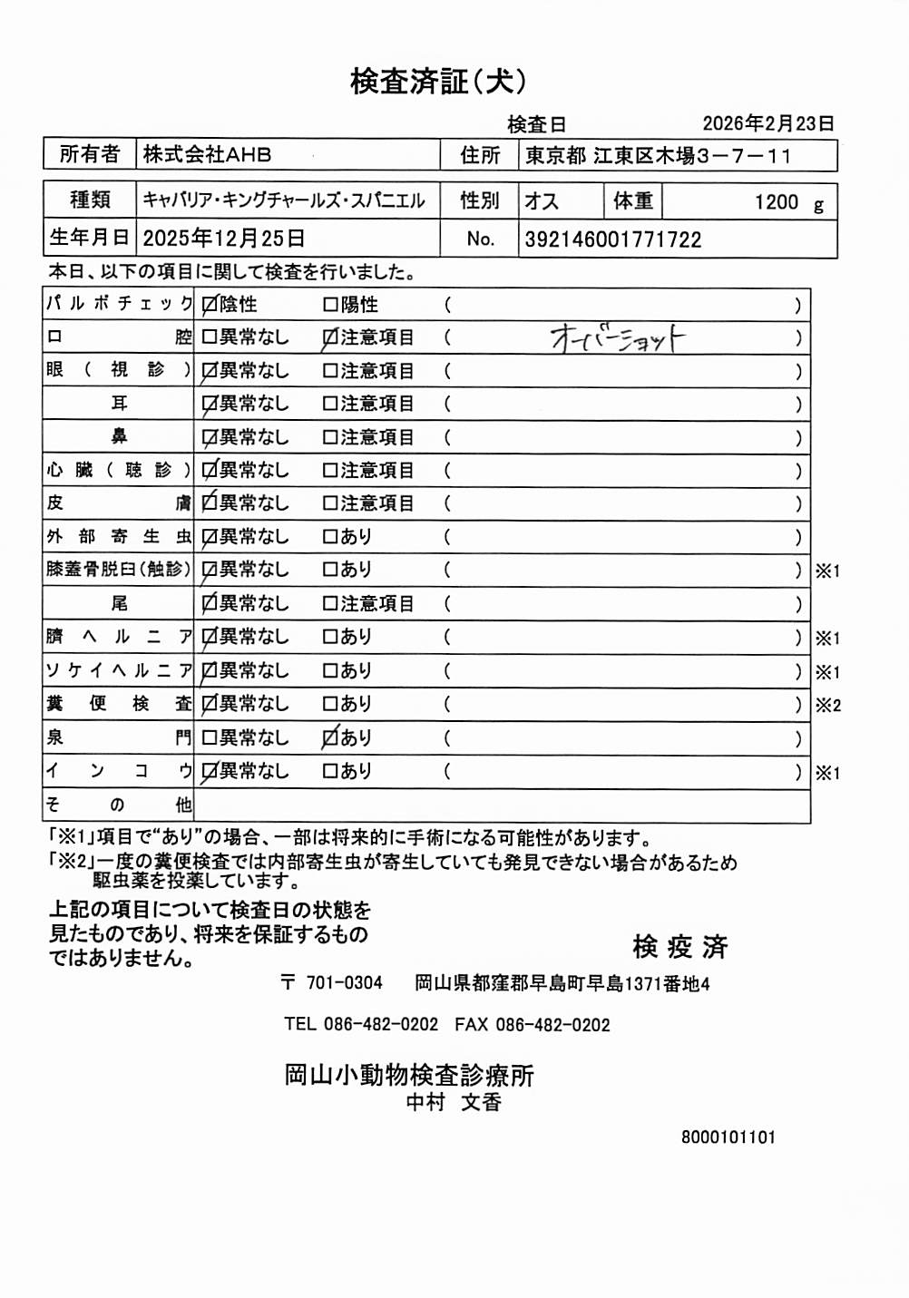 キャバリア・キングチャールズ・スパニエル