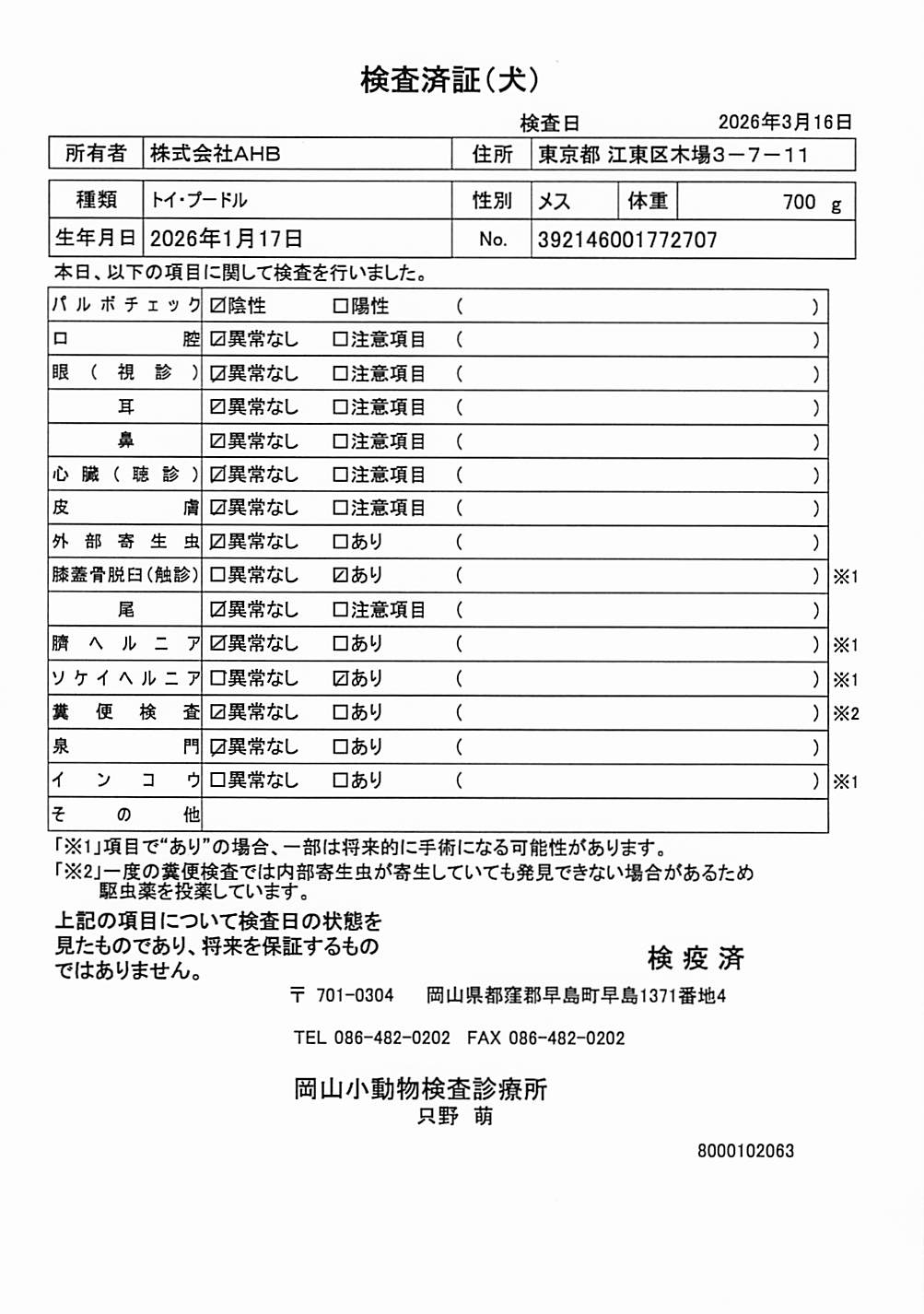 トイ・プードル