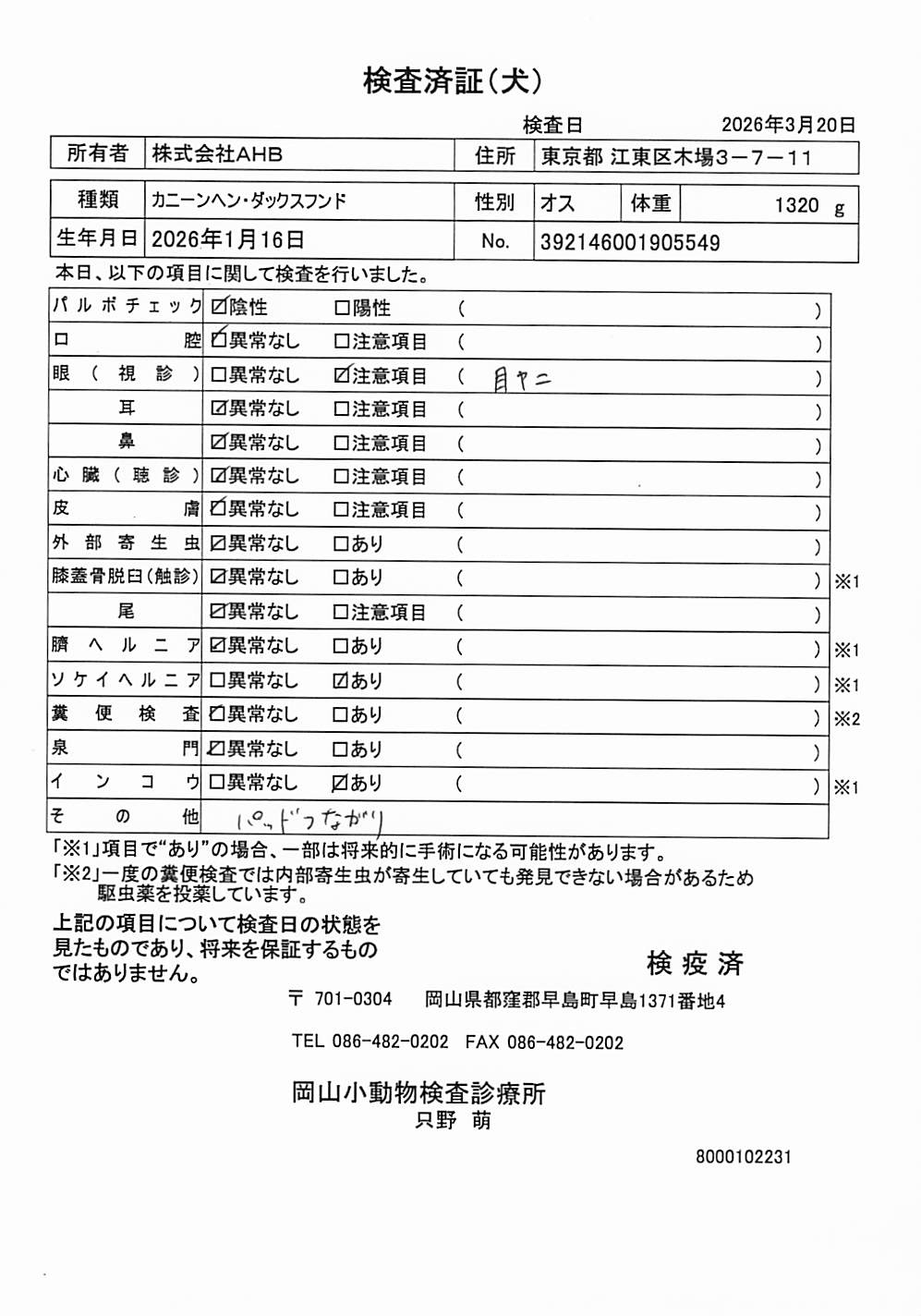 カニーンヘン・ダックスフンド
