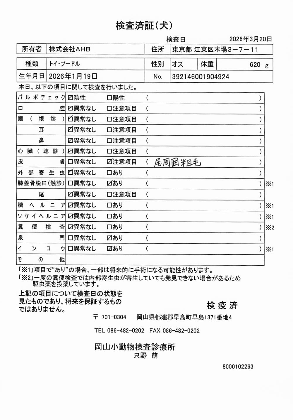 トイ・プードル