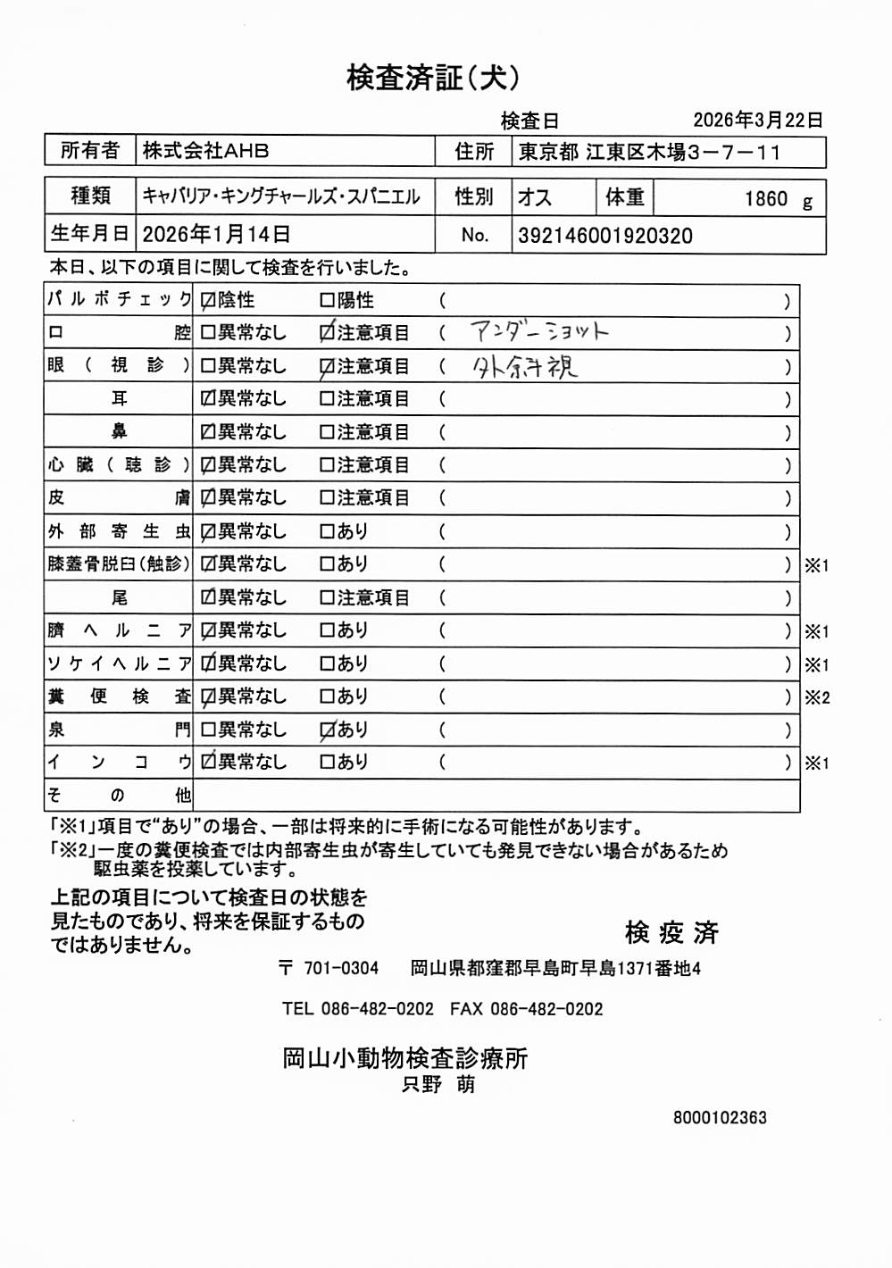 キャバリア・キングチャールズ・スパニエル