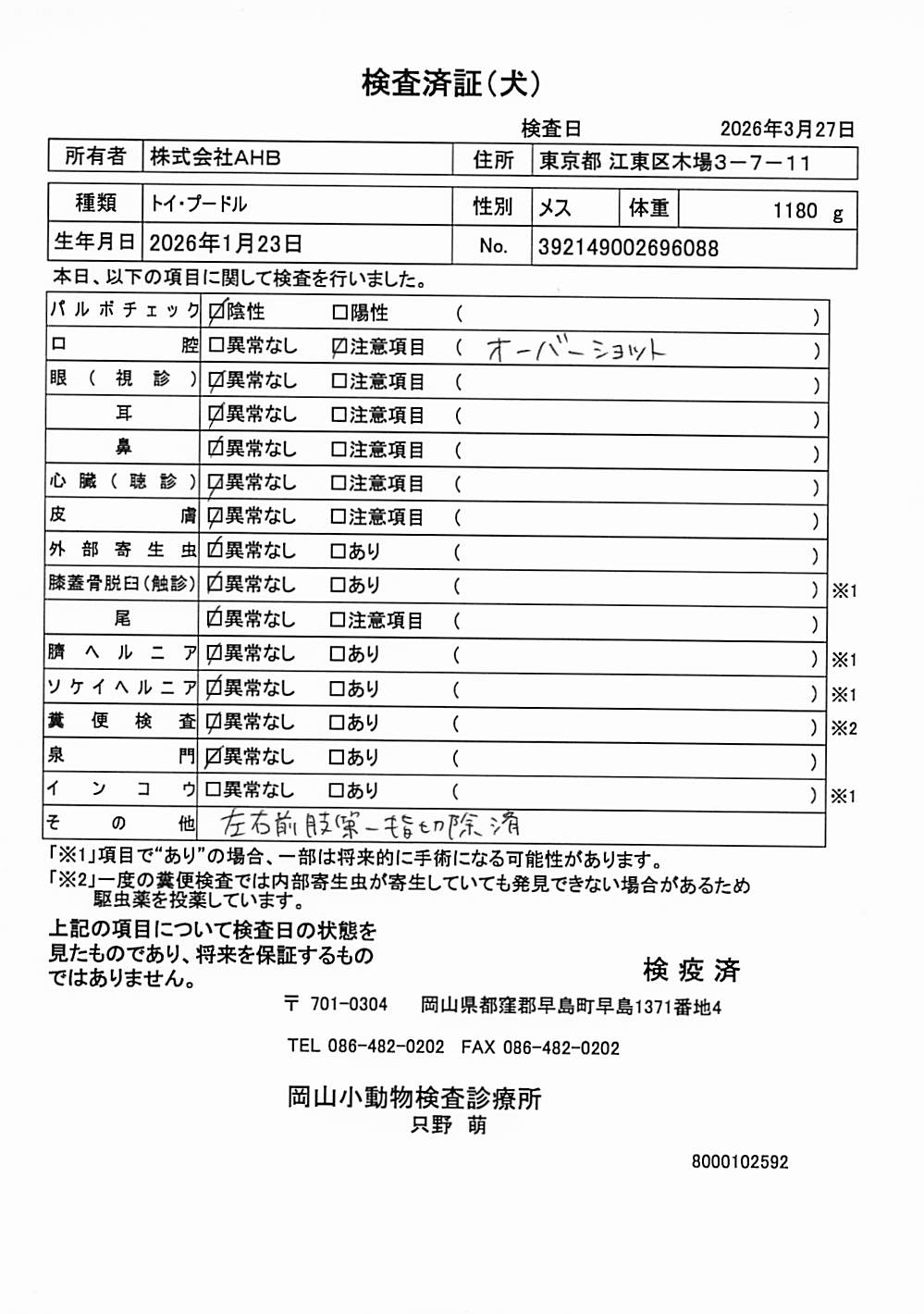 トイ・プードル
