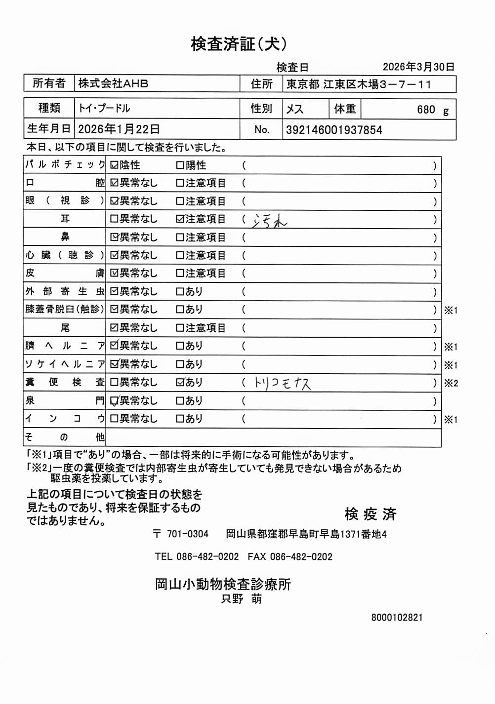 トイ・プードル
