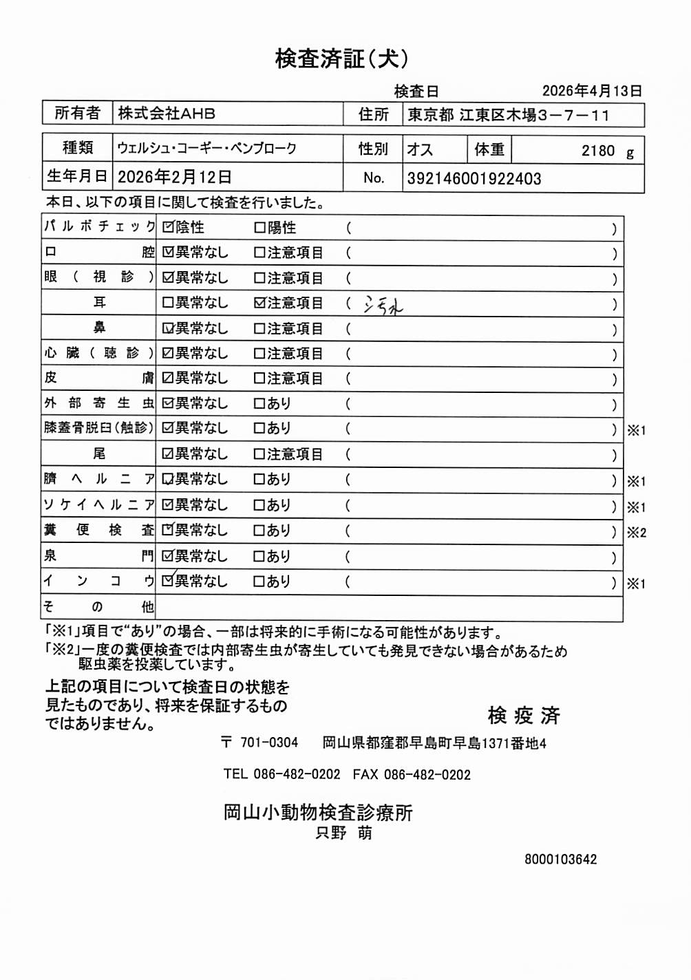 ウェルシュ・コーギー・ペンブローク