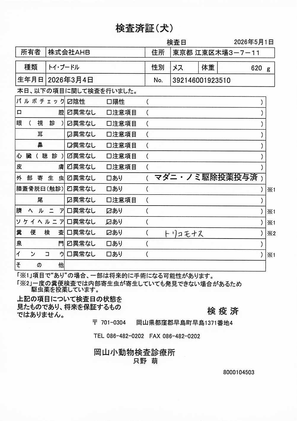 トイ・プードル