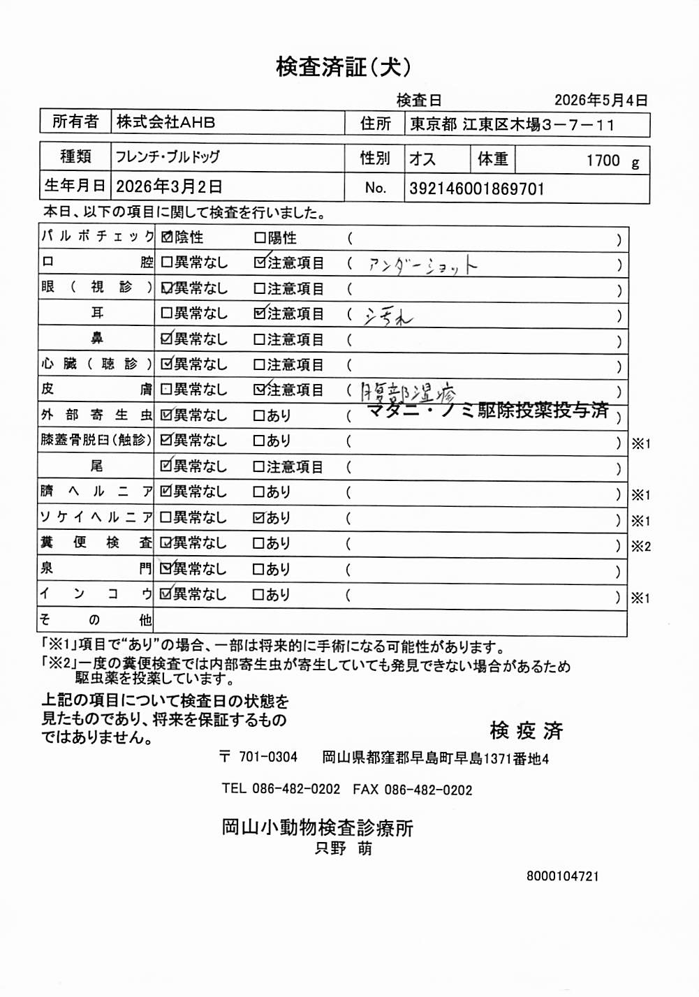 フレンチ・ブルドッグ