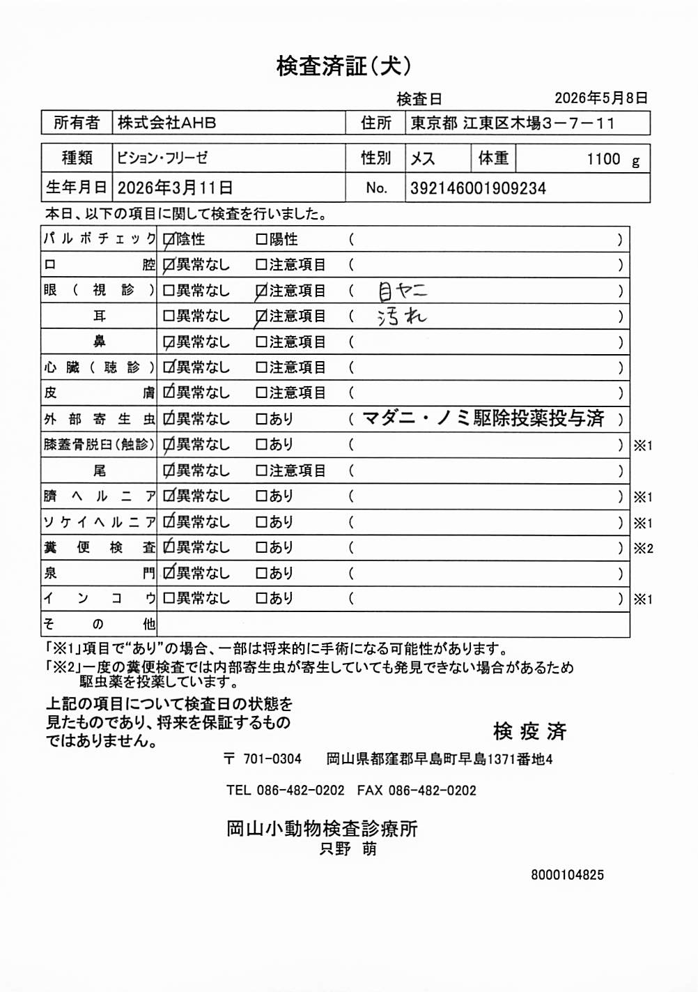 ビション・フリーゼ