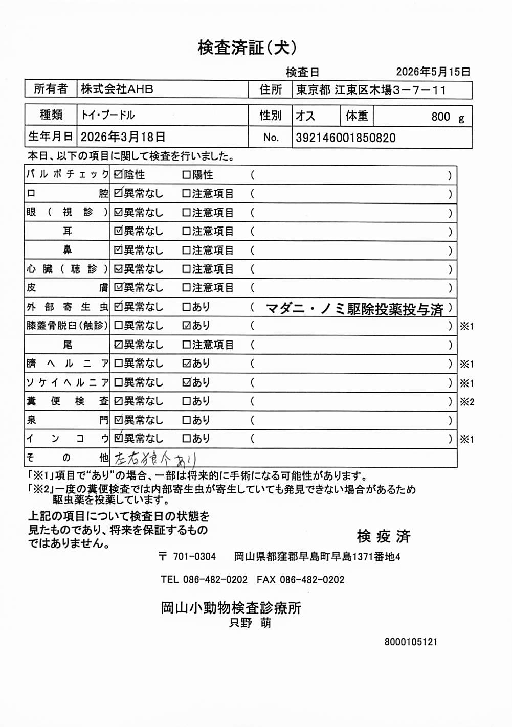 トイ・プードル