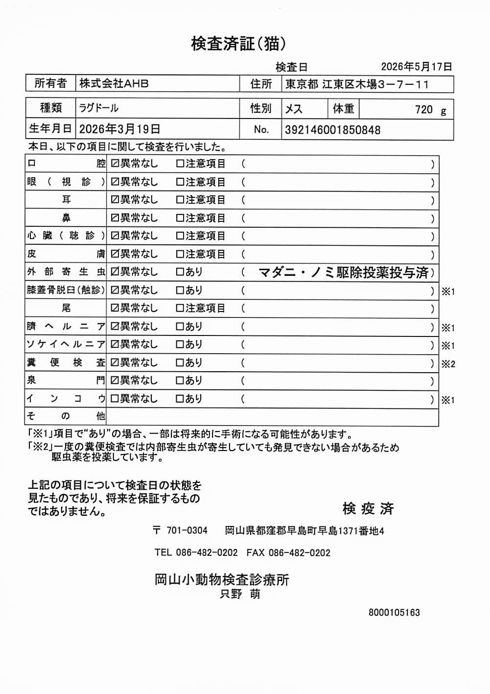 ラグドール