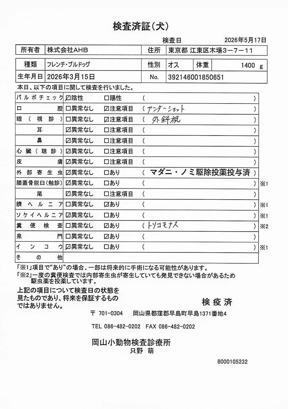 フレンチ・ブルドッグ