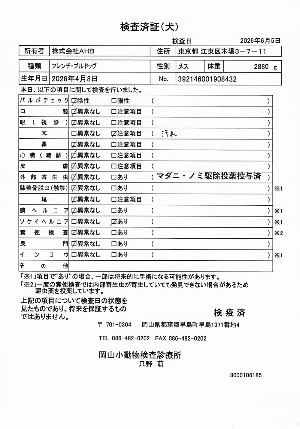 フレンチ・ブルドッグ
